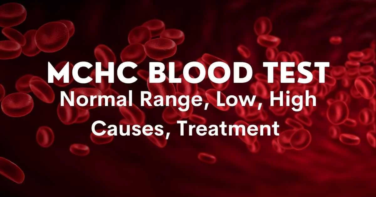 MCHC Blood Test