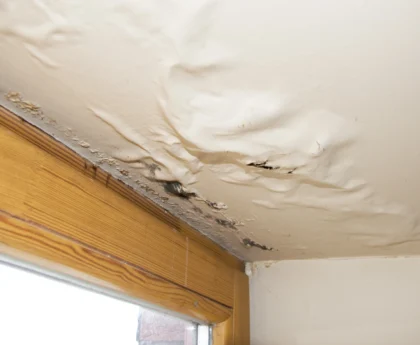 water damage ceiling Scottsdale AZ