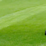 mowing service Robbinsville NJ