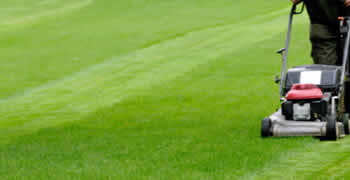 mowing service Robbinsville NJ