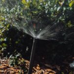landscaping contractor Henderson NV