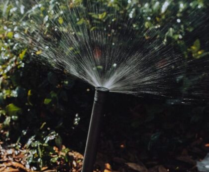 landscaping contractor Henderson NV