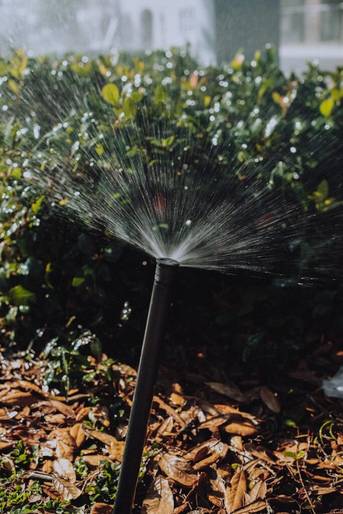 landscaping contractor Henderson NV
