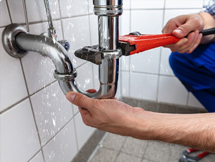 leak detection Naples FL