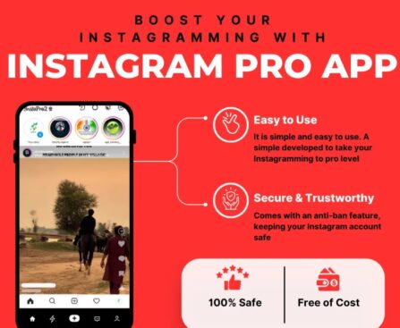 insta pro 2