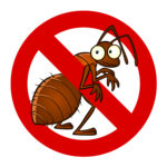 pest control Colorado Springs