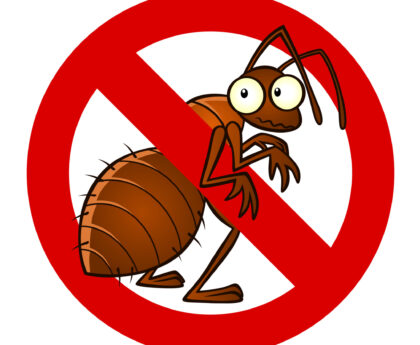 pest control Colorado Springs