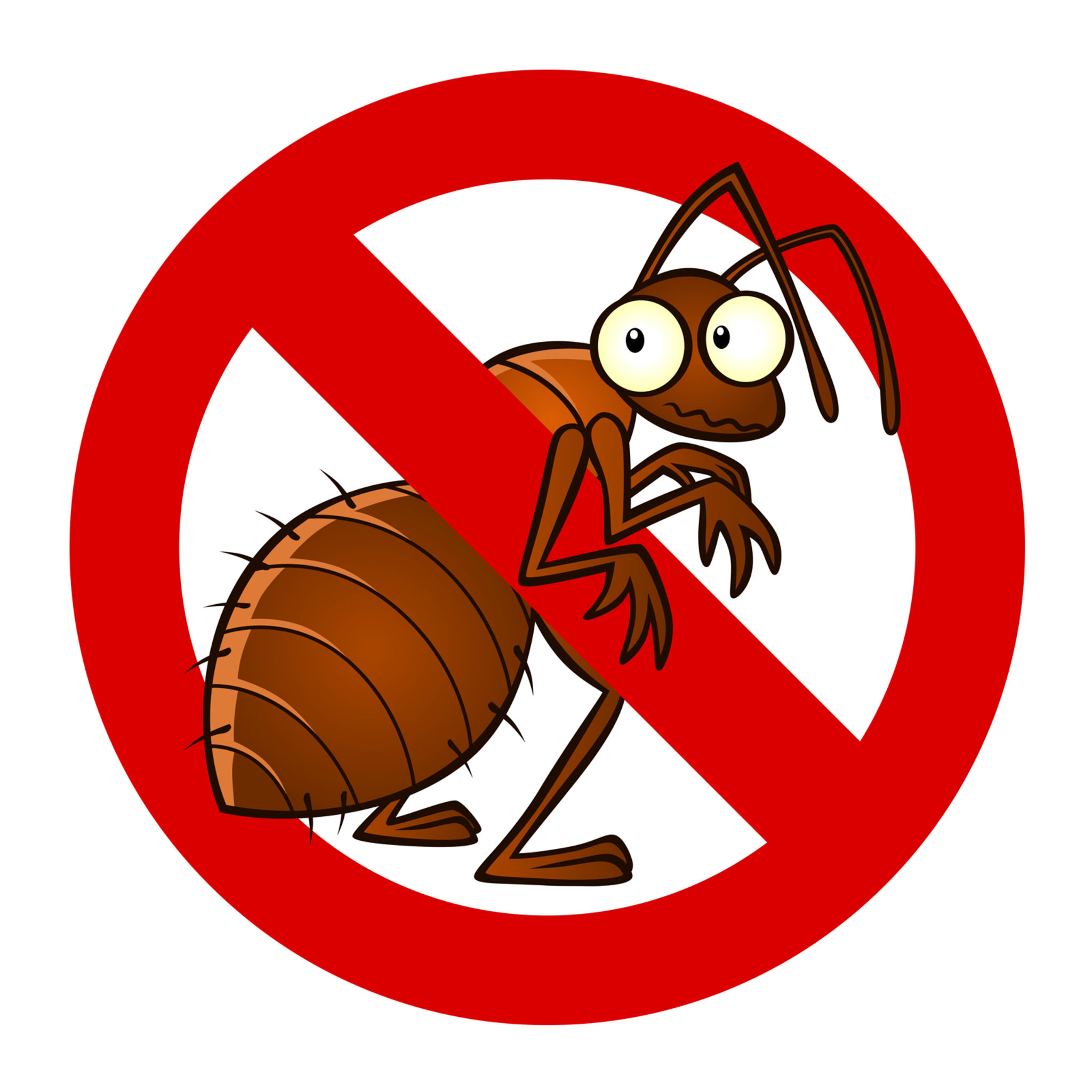 pest control Colorado Springs