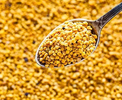 buy bee pollen