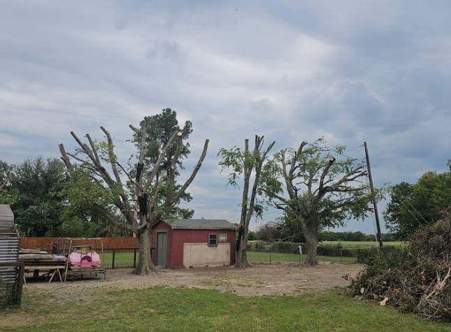 fence Company Dallas TX