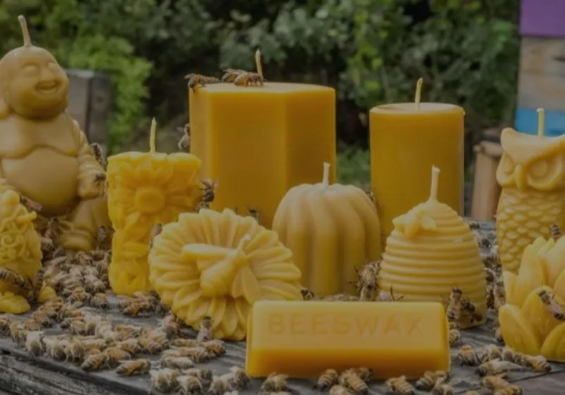 Discover the Sweet Essence of Florida Honey: Nature’s Golden Gift