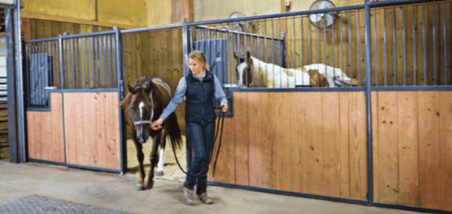 modular horse stalls