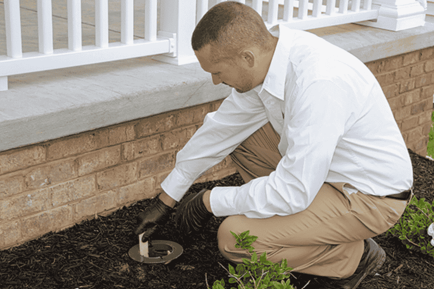pest removal Colorado Springs