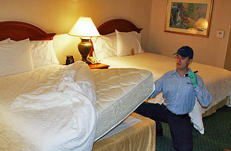 remove bed bugs Springfield MO