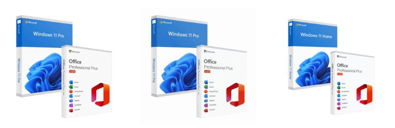 Microsoft Office 2024 Professional Plus