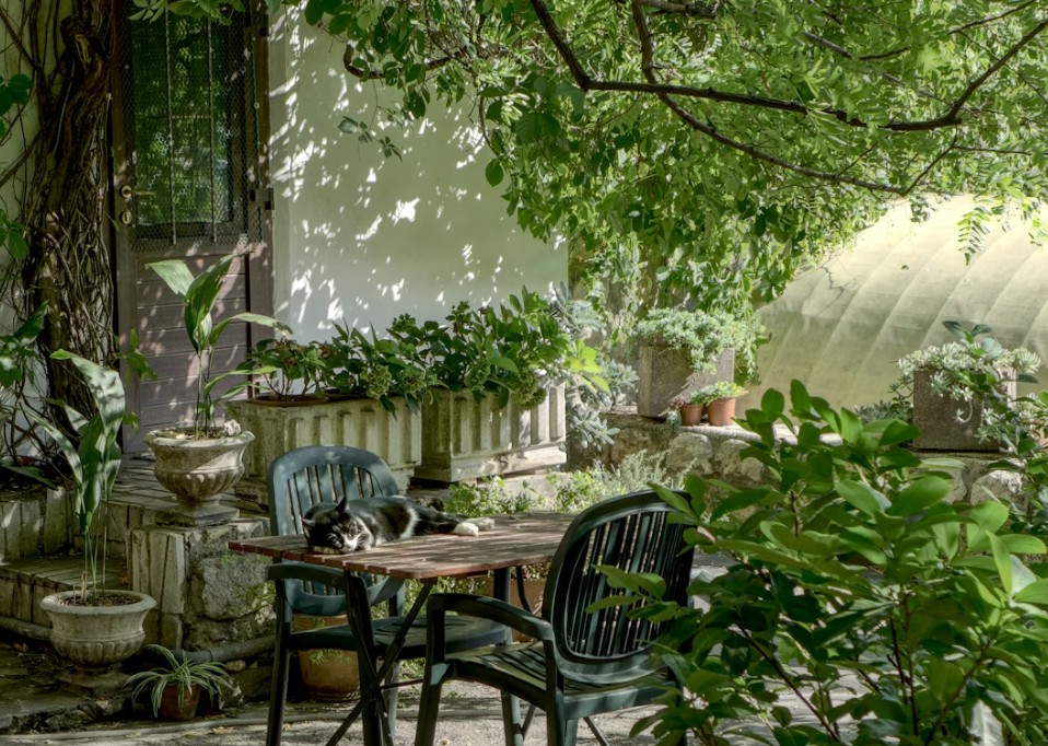 landscape designers Carmel IN